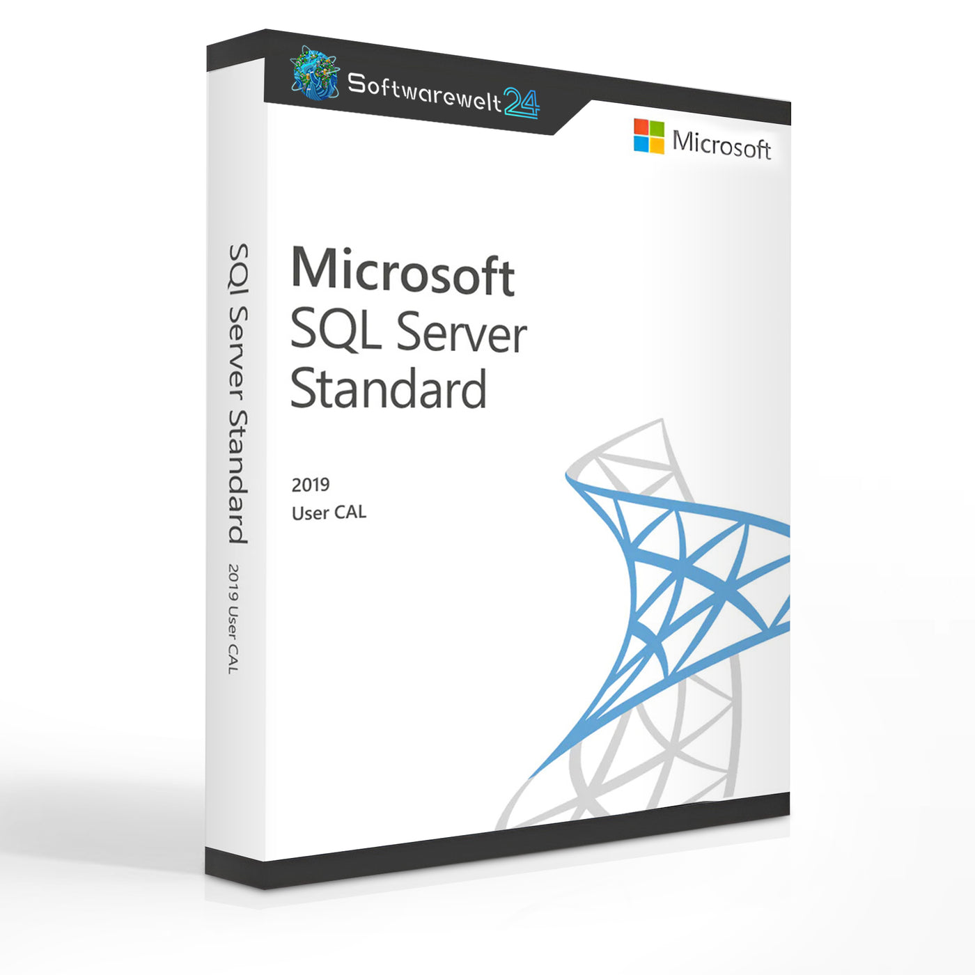 Microsoft SQL Server 2019 User