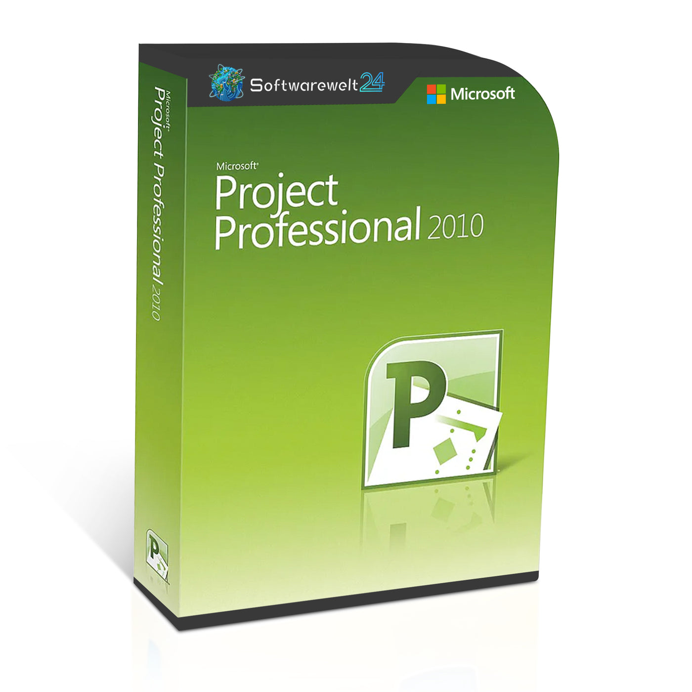 Microsoft Project Professional 2010