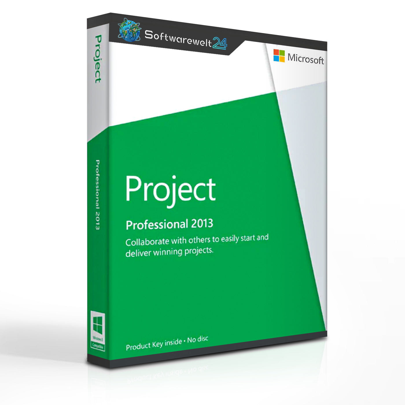 Microsoft Project Professional 2013