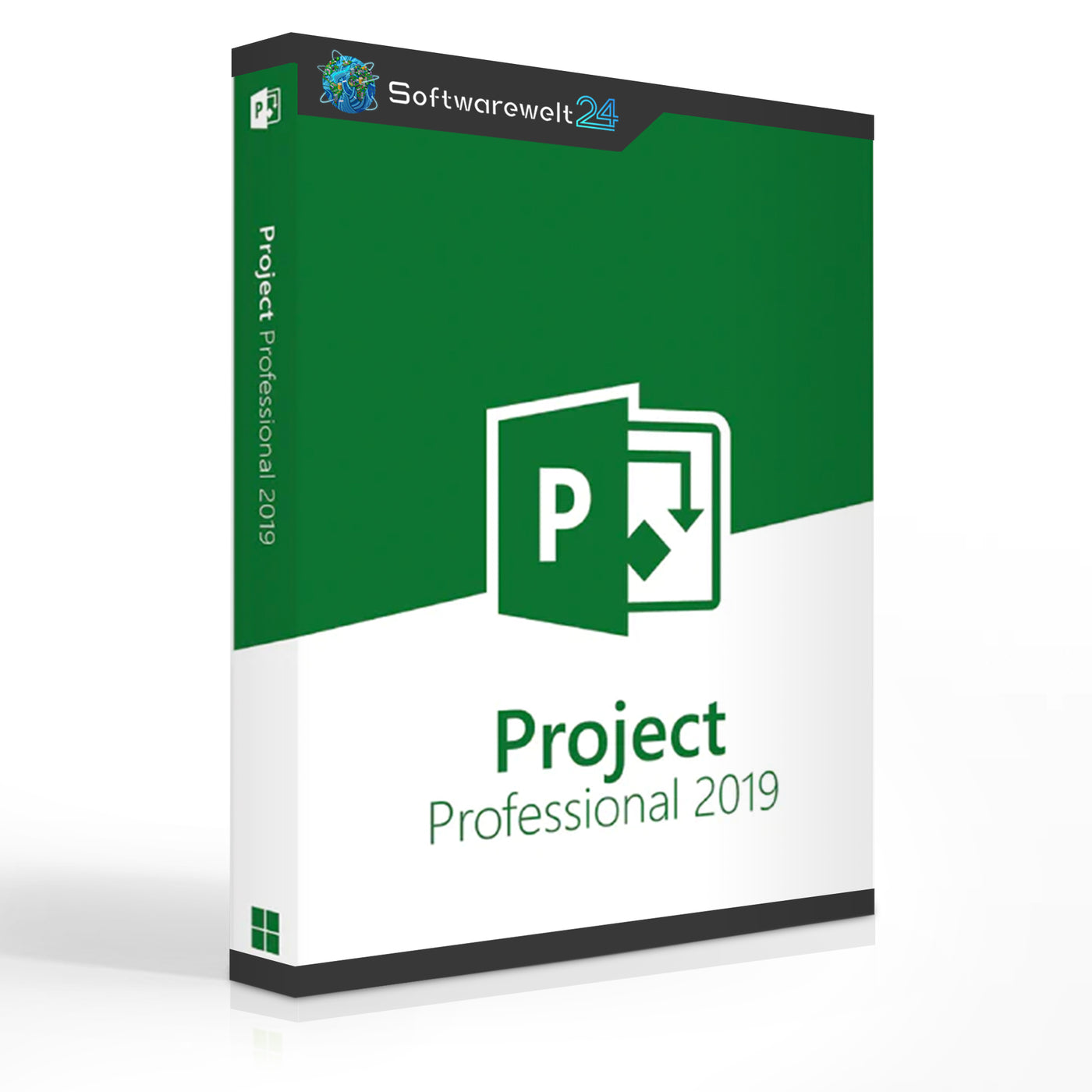 Microsoft Project Professional 2019